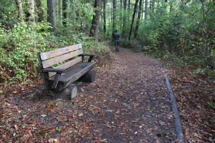 Natural surface trail with bench